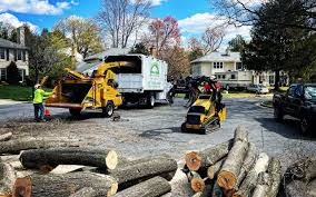 Trusted Joseph, OR Tree Care Experts